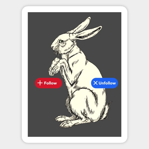 Follow/Unfollow the White Rabbit Magnet by sticks and bones vintage